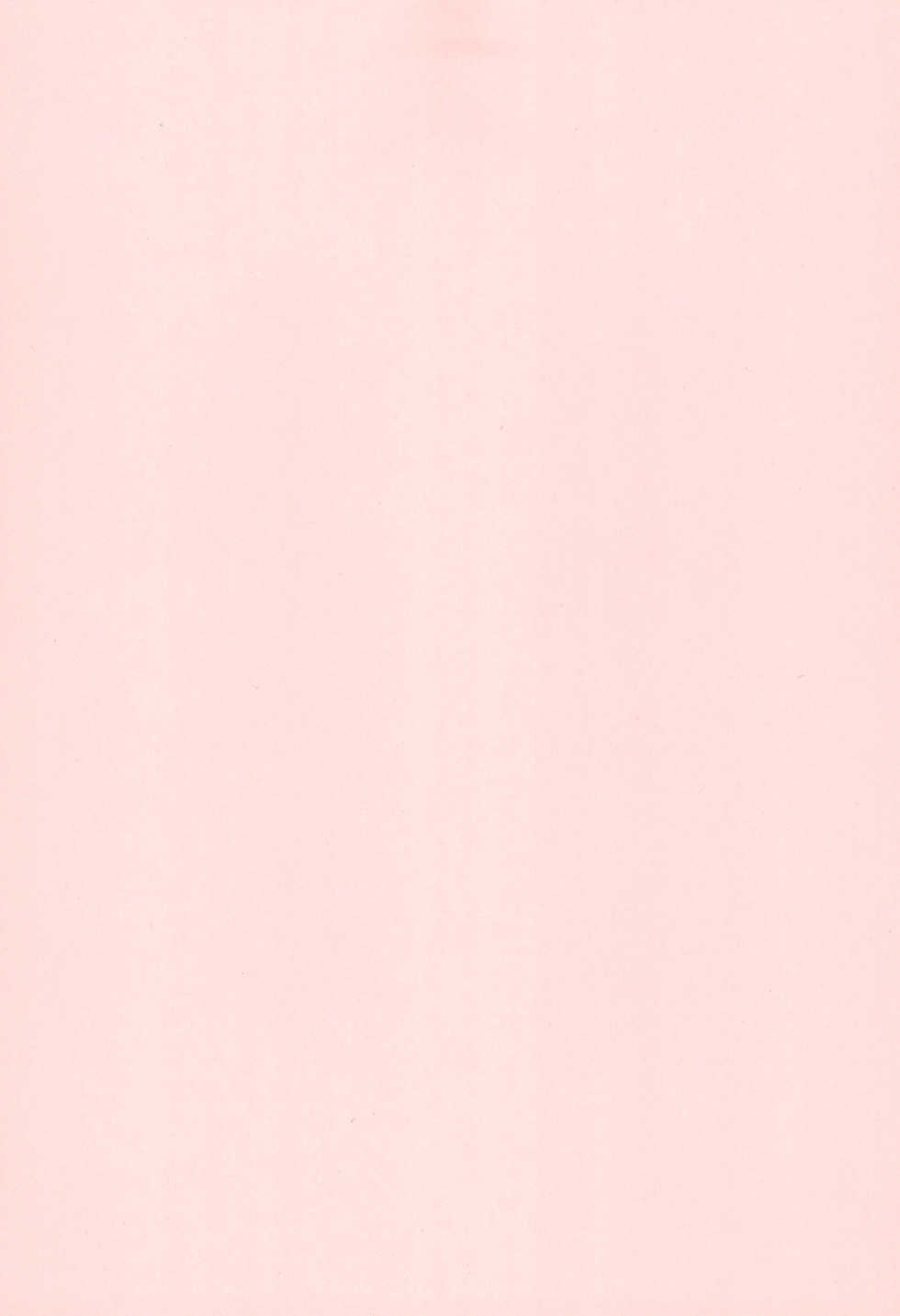 (C83) [NYAIZING! (Akisa)] Koneko no Yurikago (Touhou Project) - Page 3