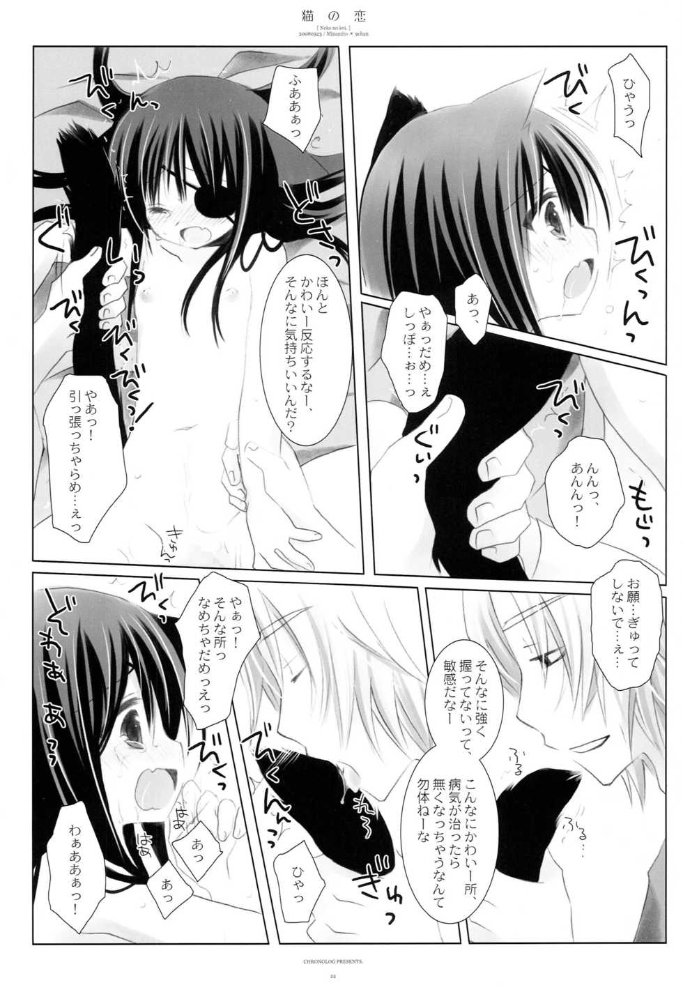 (Mimiket 18) [CHRONOLOG (Sakurazawa Izumi)] Neko no Koi (Gintama) - Page 23