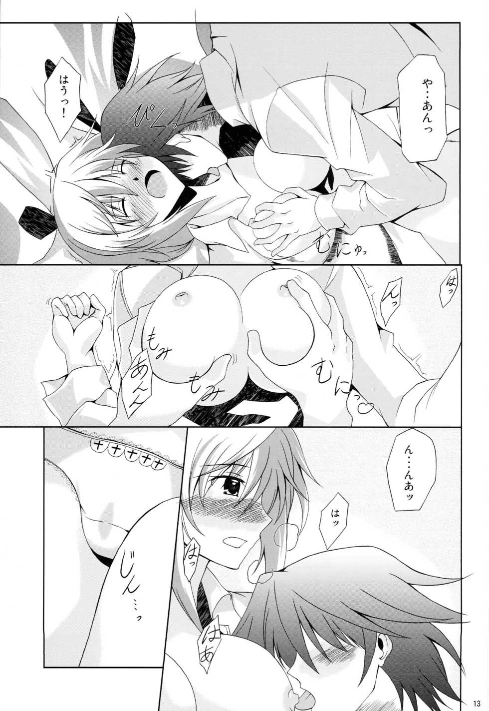 (C81) [The Seventh Sign (Kagura Yuuto)] Colors of Straight Heart (IS <Infinite Stratos>) - Page 12