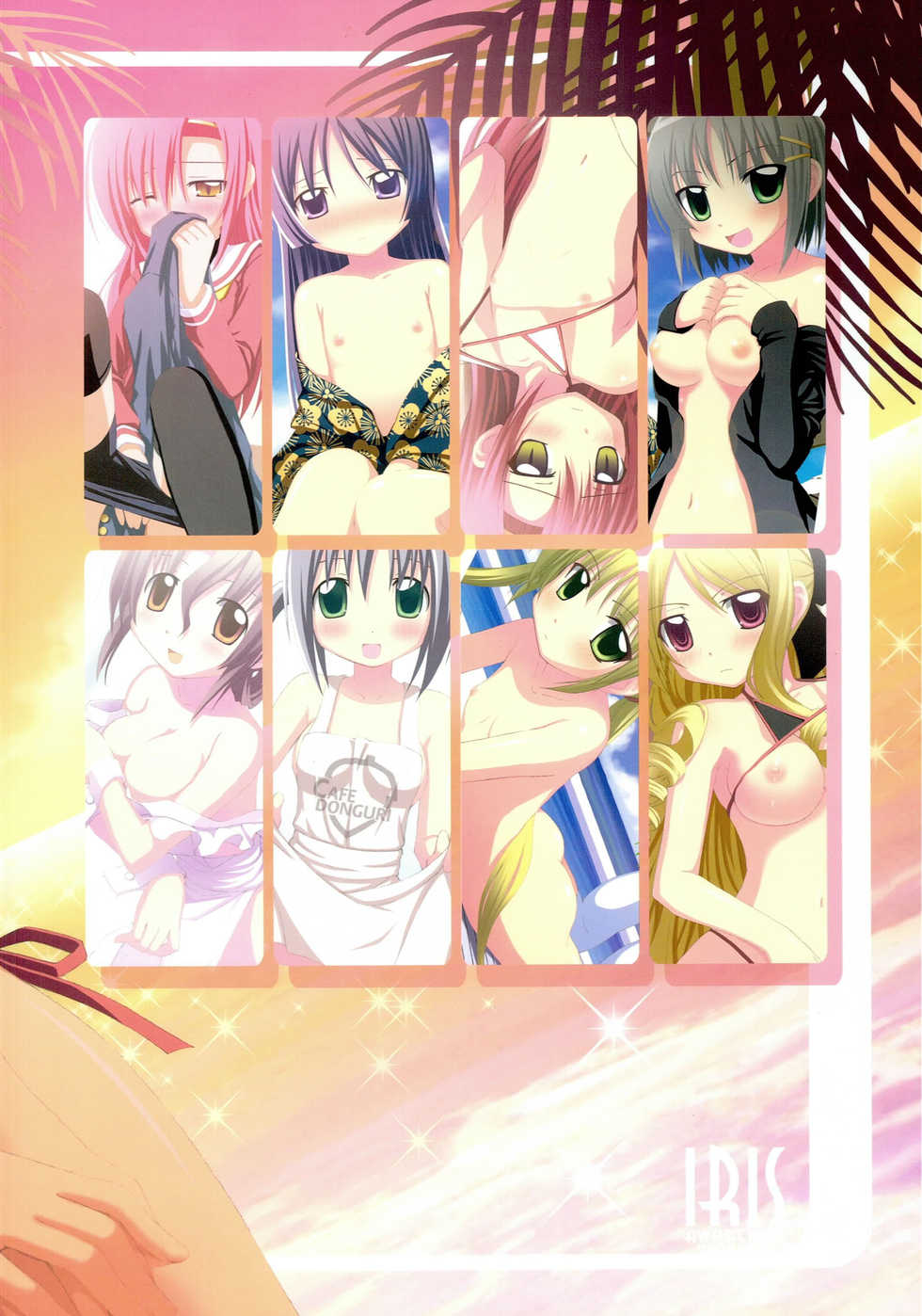 (C75) [Awareness (Aikawa Touma)] IRIS (Hayate no Gotoku!) - Page 14