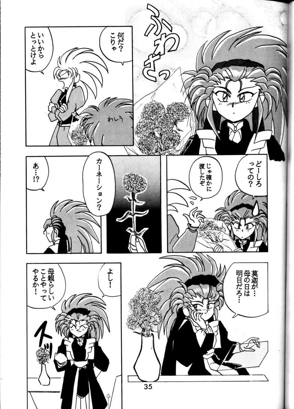 [Beauty Star] MIHOKIYO DELUXE (Tenchi Muyou!) - Page 35