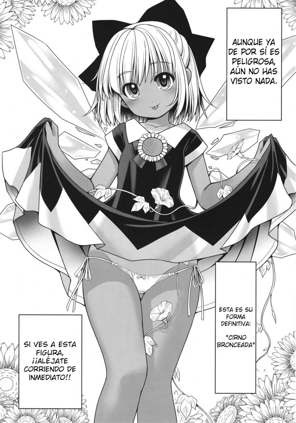 (SC2017 Autumn) [Yosutebito na Mangakaki (Tomoki Tomonori)] Seieki ni Muragari Suitsuku Yousei-tachi (Touhou Project) [Spanish] [Muñeca System] - Page 26