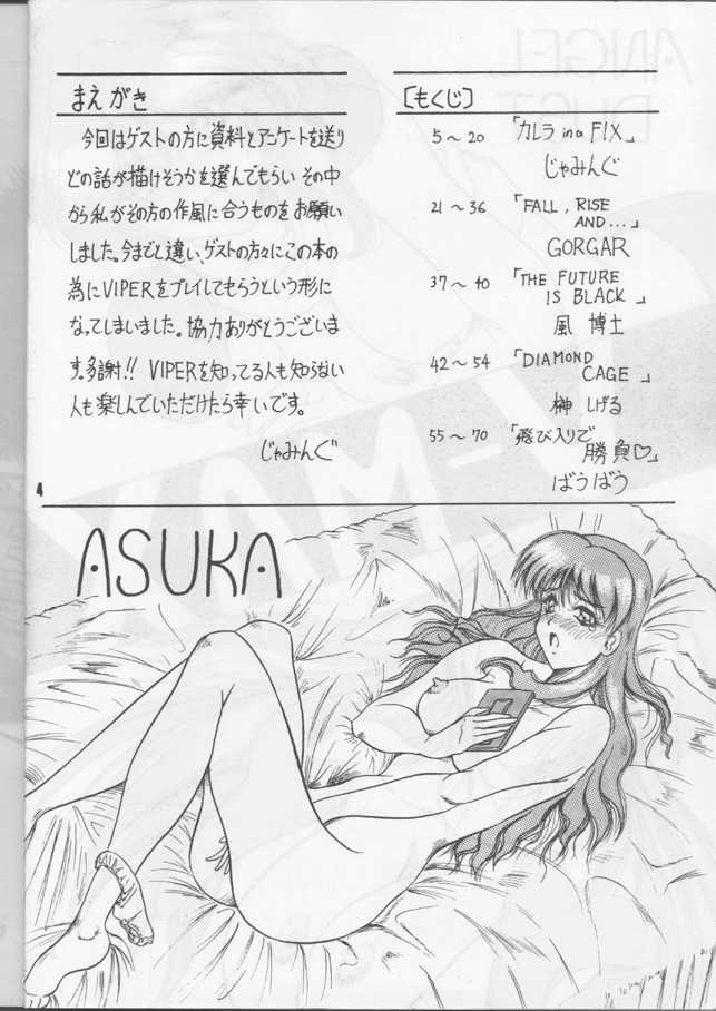 [J's Style (Jamming)] V-MAX (Viper) - Page 3