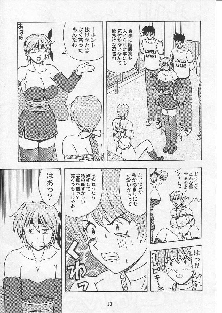 (C63) [HEAVEN'S UNIT (Kouno Kei)] Daten No Hanazono 3 (Dead or Alive) - Page 12