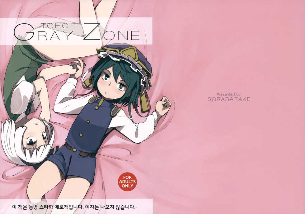 (C88) [Sorabatake (D@i)] TOHO GRAYZONE (Touhou Project) [Korean] - Page 1
