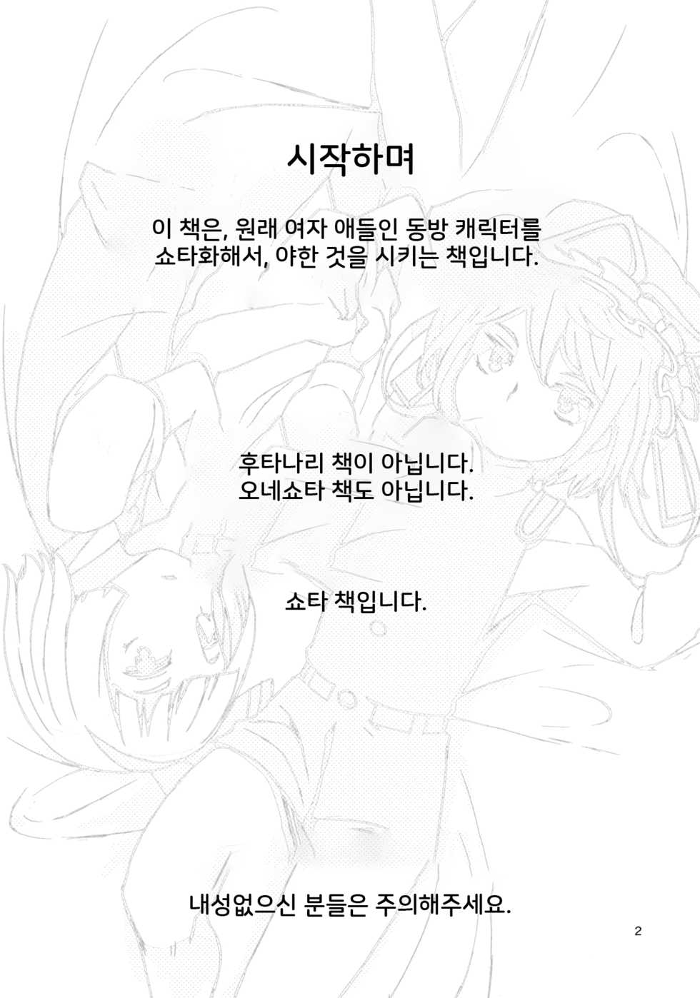 (C88) [Sorabatake (D@i)] TOHO GRAYZONE (Touhou Project) [Korean] - Page 3