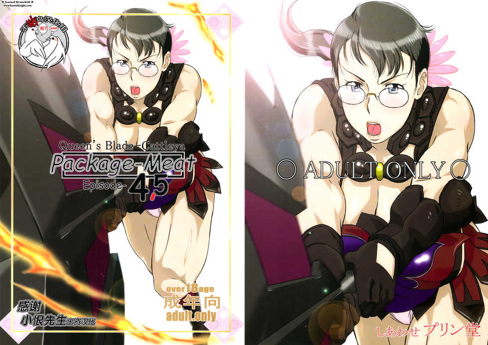 (C83) [Shiawase Pullin Dou (Ninroku)] Package Meat 4.5 (Queen's Blade) [Chinese] [不咕鸟汉化组] - Page 1