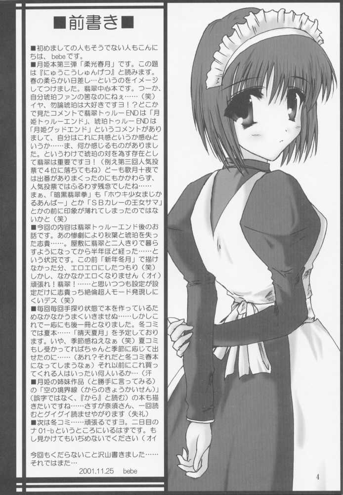 [A' (bebe)] Juuharu Shungetsu (Tsukihime) - Page 3