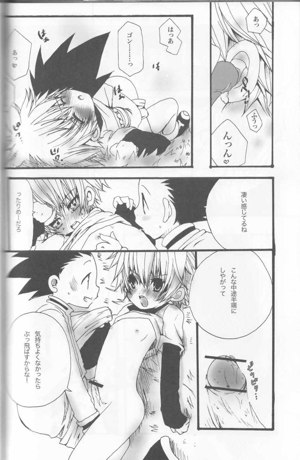 (C75) [MiUMiU, Monochrome (amin, Mitsuno)] DAMON3 (Hunter x Hunter) - Page 11