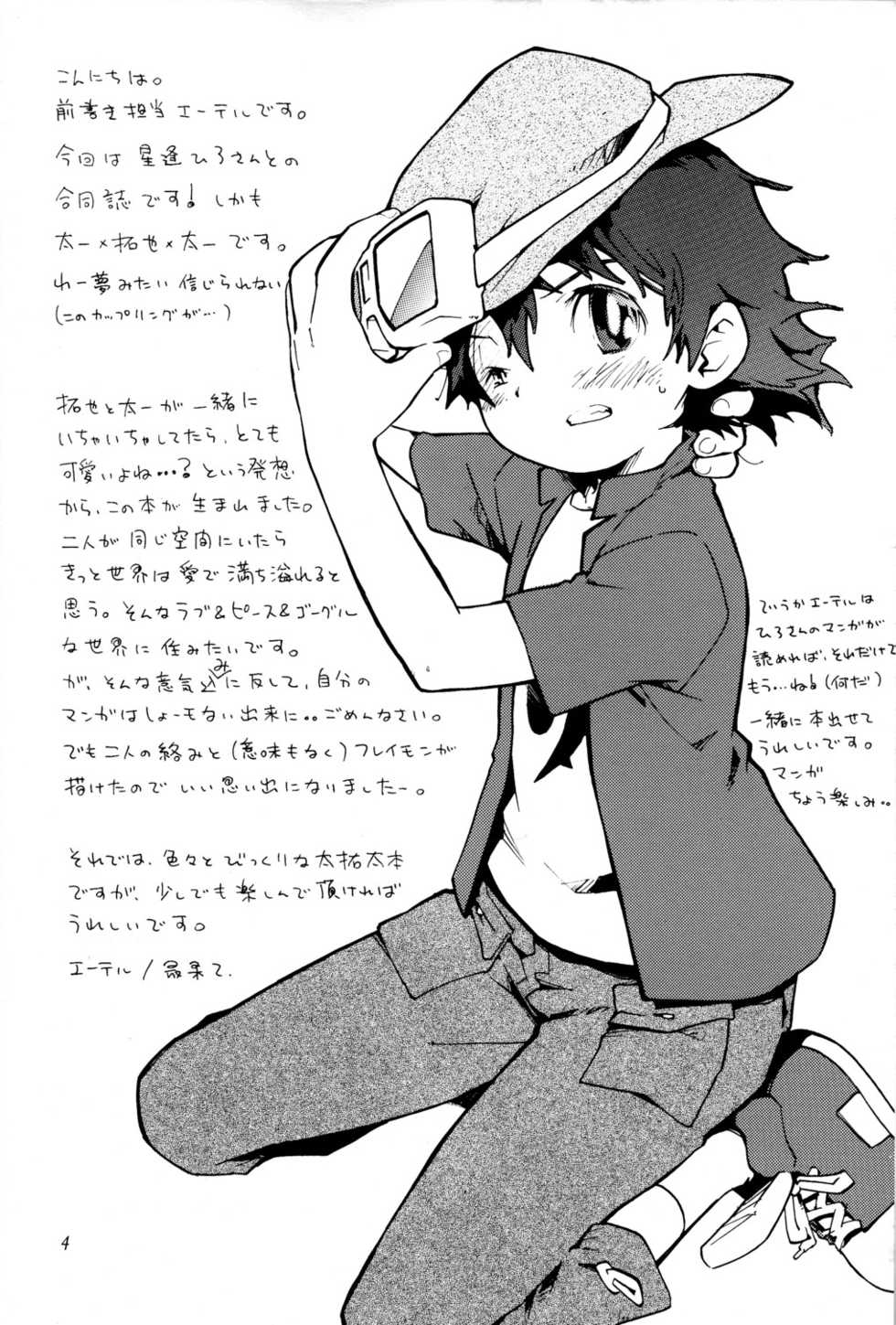 (C65) [KuruGuru DNA, Saihate (Hoshiai Hilo, Ethereal)] Tai Taku Tai (Digimon Adventure, Digimon Frontier) - Page 4
