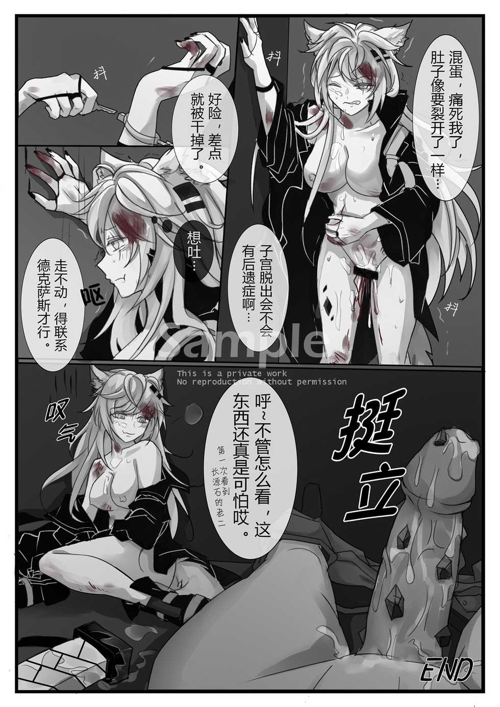 源力破壊 (明日方舟) [中国語] - Page 20