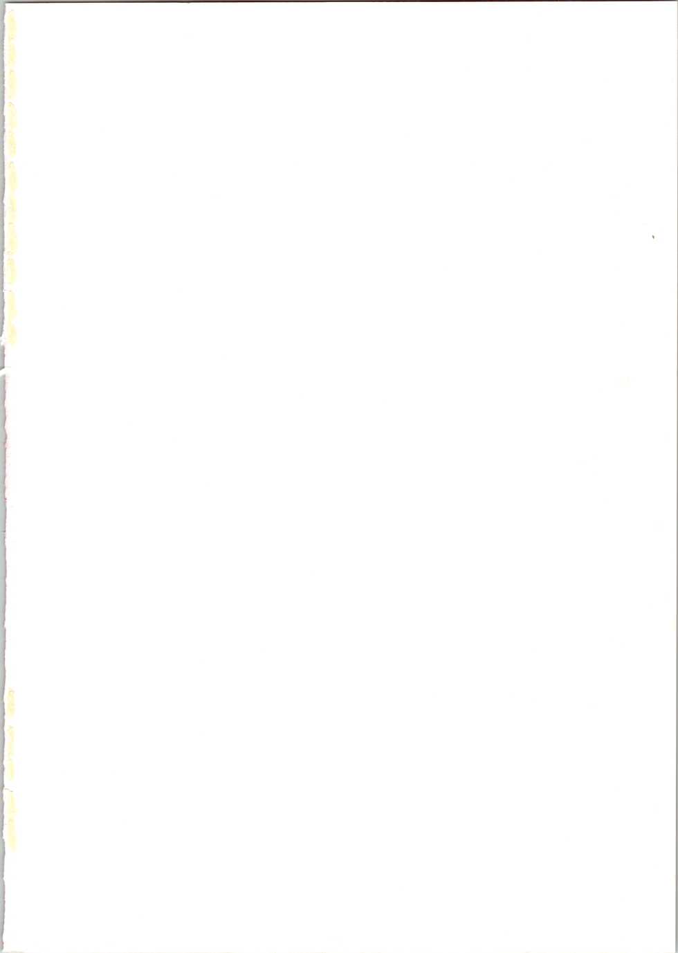 (C53) [RAT TAIL (IRIE YAMAZAKI)] IRIE FILE RED (Ranma 1/2, Romeo's Blue Skies) - Page 2