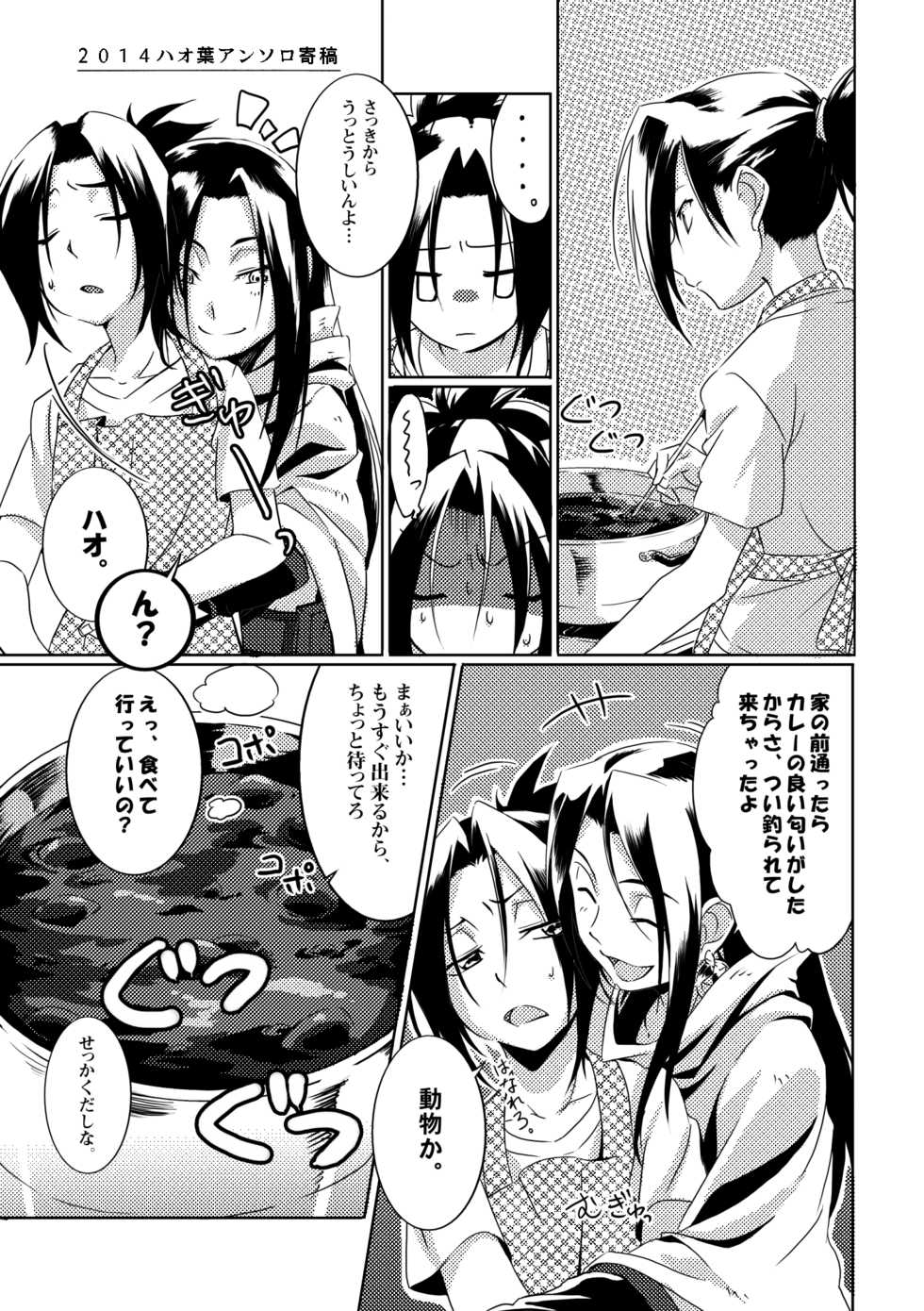 [Boro Goya (Kouheki)] Boro Goya HaoYoh Sairokushuu (Shaman King) [Digital] - Page 13