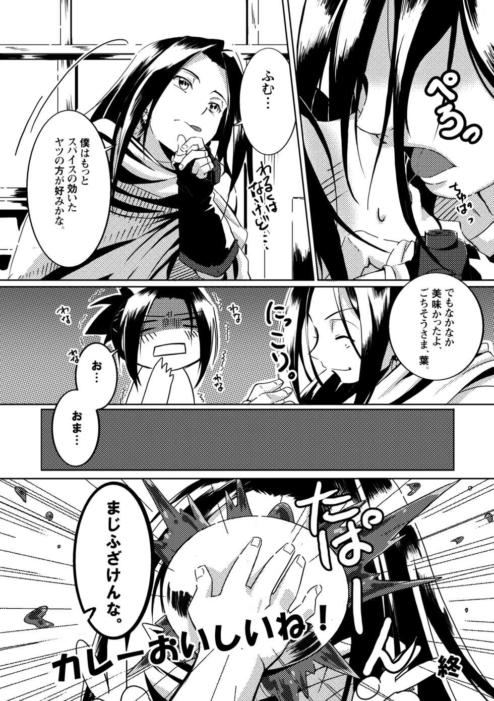 [Boro Goya (Kouheki)] Boro Goya HaoYoh Sairokushuu (Shaman King) [Digital] - Page 15