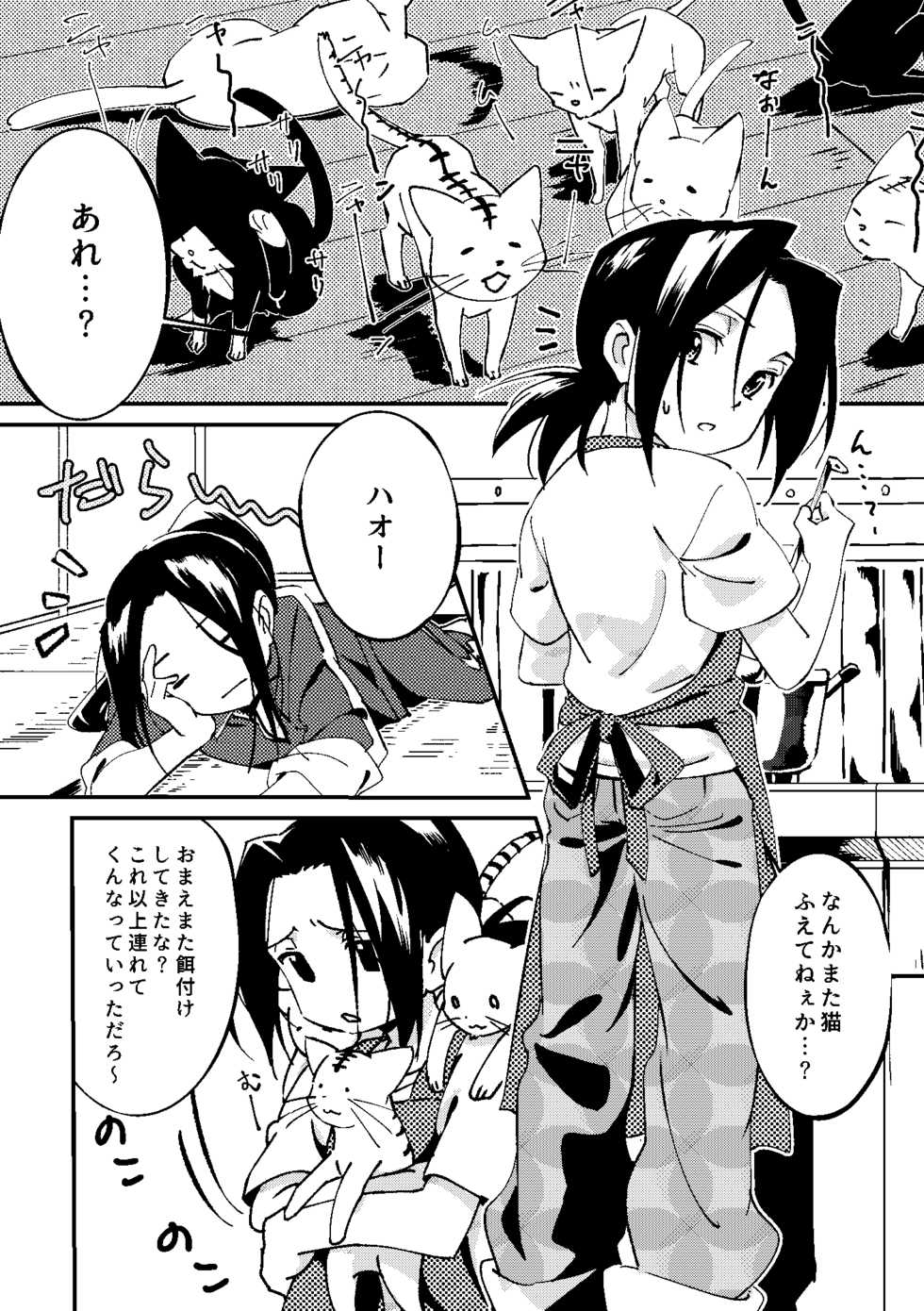 [Boro Goya (Kouheki)] Boro Goya HaoYoh Sairokushuu (Shaman King) [Digital] - Page 17