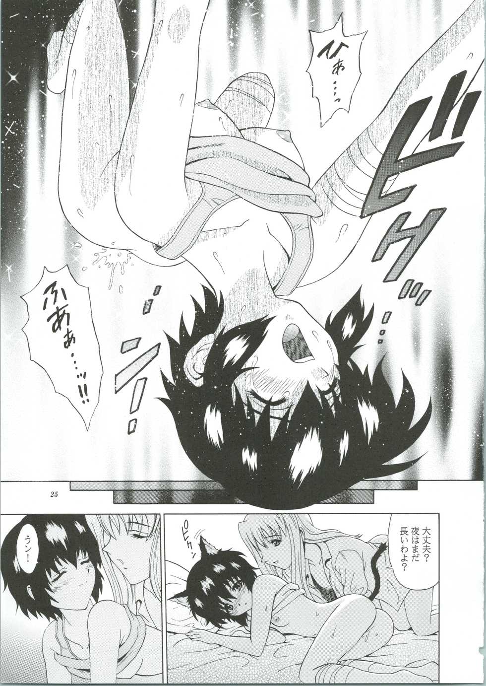 (C61) [GUST (Harukaze Soyogu)] Kuronekotachi no Kyouen La banquet de Chat Noir (Noir) - Page 25