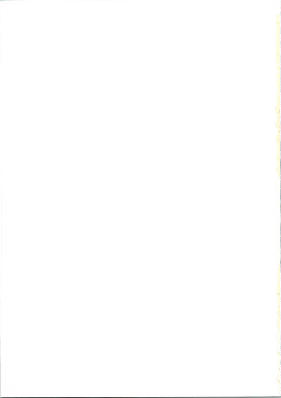 (C61) [GUST (Harukaze Soyogu)] Kuronekotachi no Kyouen La banquet de Chat Noir (Noir) - Page 34
