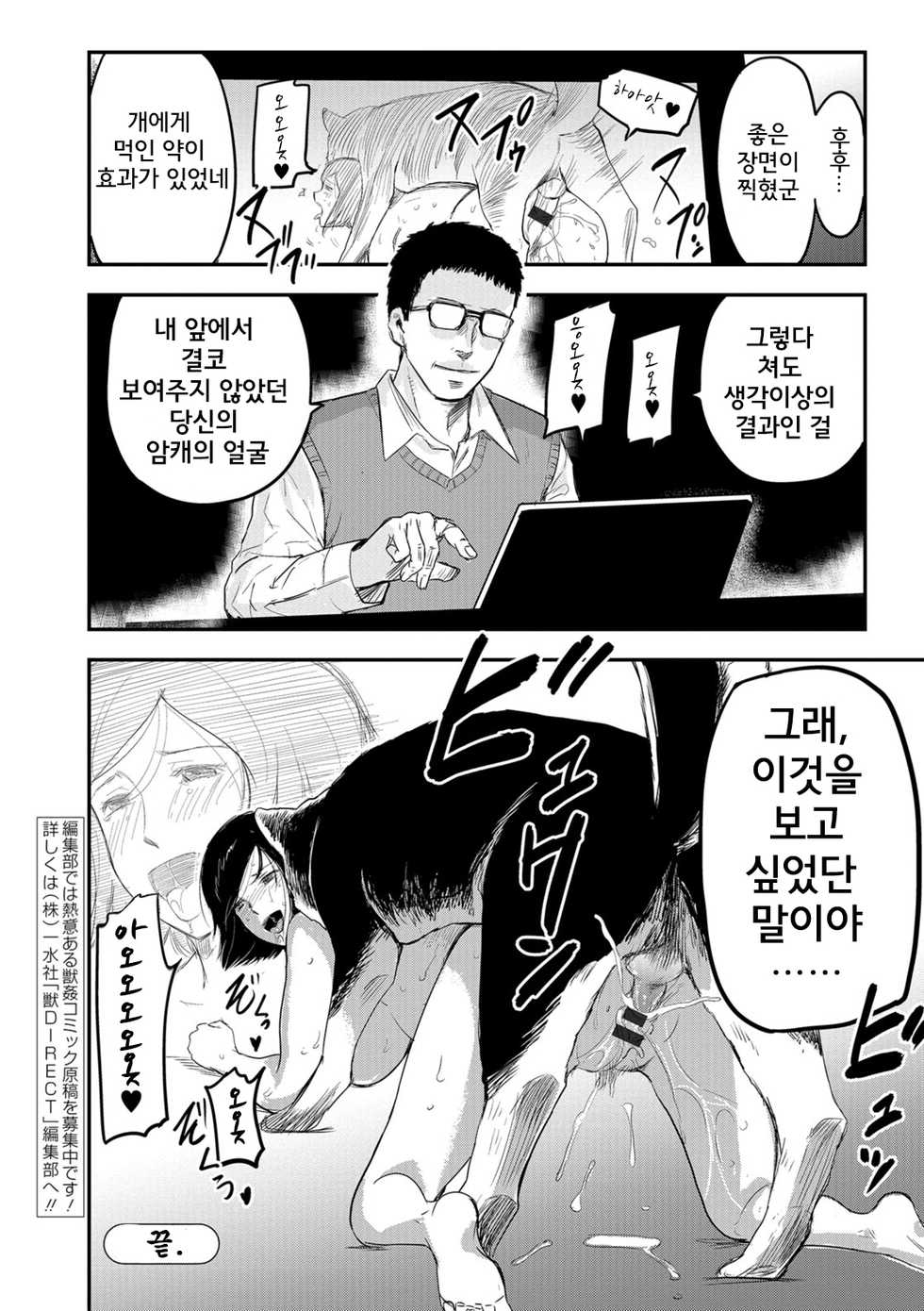 [Yamada Tahichi] Tsuma ga Inu ni Kawaru Toki -The Change of Human Being- | 아내가 암캐로 바뀔 때 (Kemono DIRECT 5) [Korean] [Digital] - Page 20