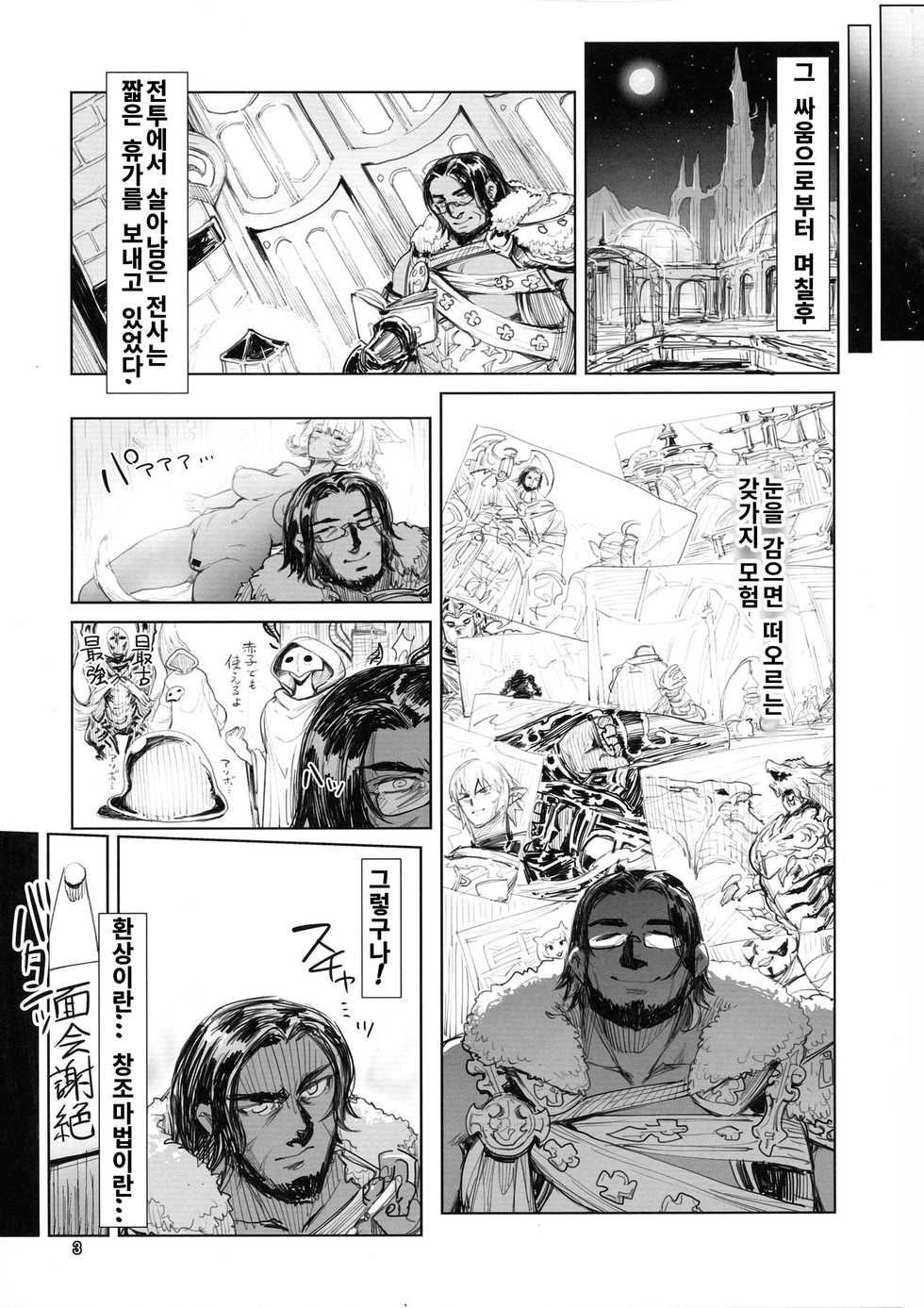 (C97) [Hermit9 (Anchors)] Souzou Mahou no Chottoshita Ouyou (Final Fantasy XIV) [Korean] - Page 4