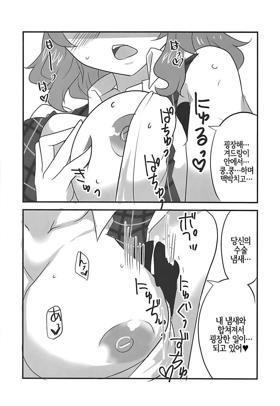 (Shuuki Reitaisai 3) [BlueMage (Aoi Manabu)] Himawari no Fragrance | 해바라기의 프레이그런스 (Touhou Project) [Korean] [LWND] - Page 11