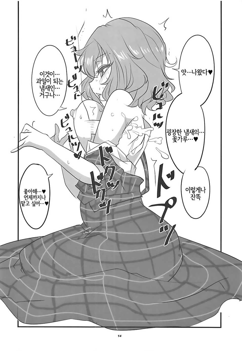 (Shuuki Reitaisai 3) [BlueMage (Aoi Manabu)] Himawari no Fragrance | 해바라기의 프레이그런스 (Touhou Project) [Korean] [LWND] - Page 13