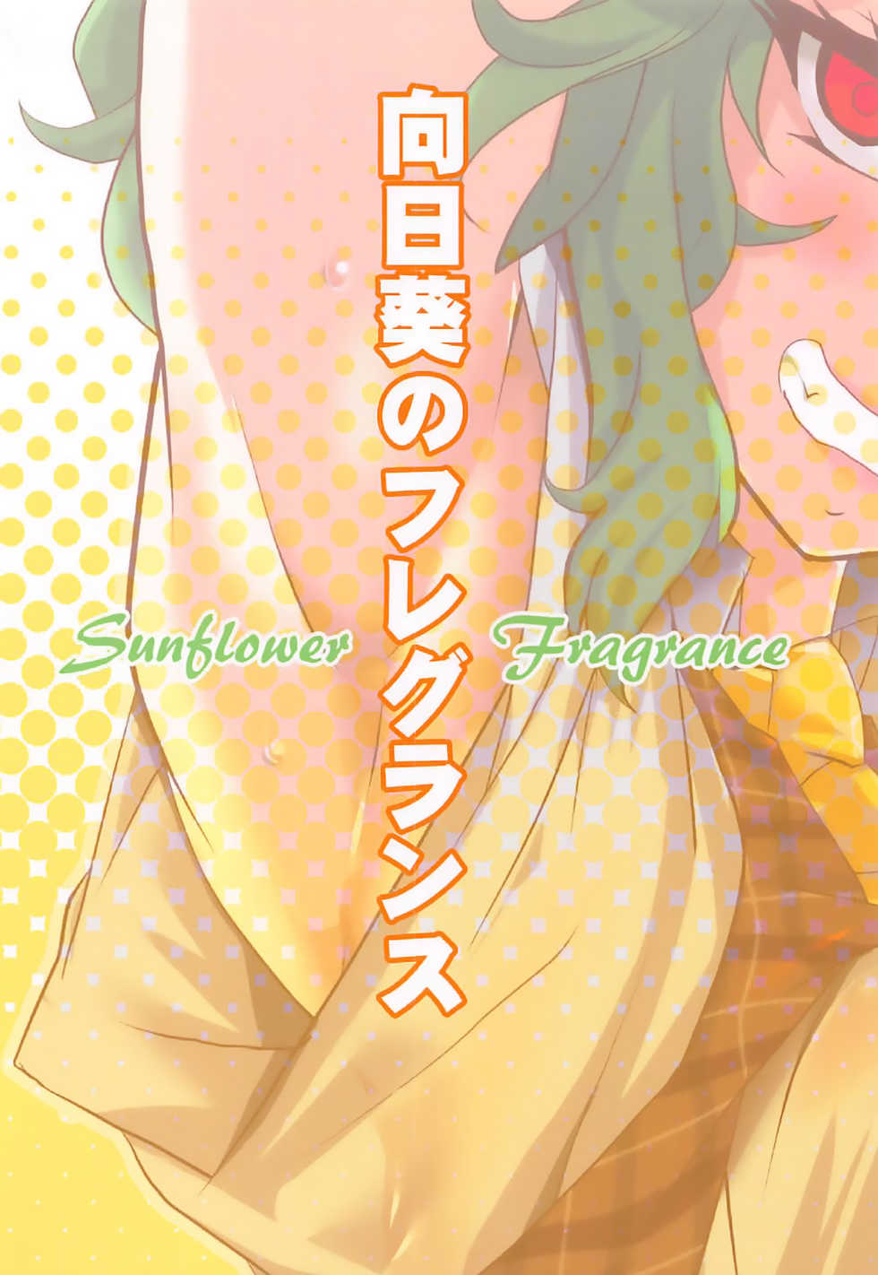 (Shuuki Reitaisai 3) [BlueMage (Aoi Manabu)] Himawari no Fragrance | 해바라기의 프레이그런스 (Touhou Project) [Korean] [LWND] - Page 18