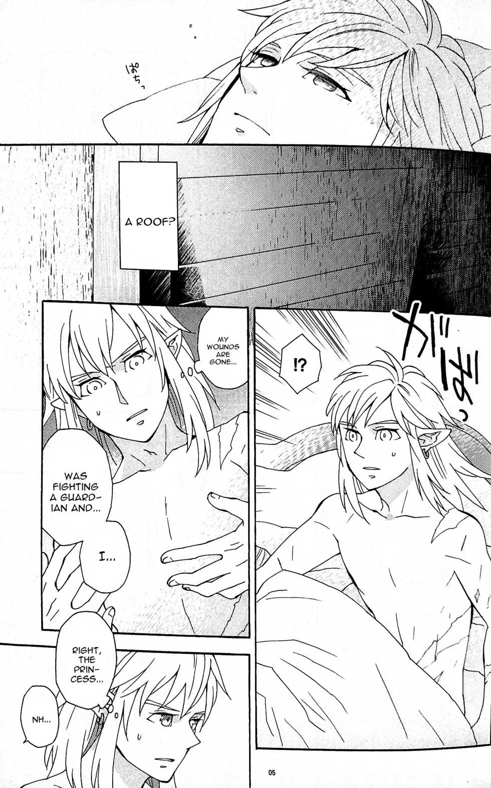 (ALL STAR 9) [CURSOR (Satou)] Ashita no Watashi-tachi (The Legend of Zelda) [English] [constantly] - Page 4
