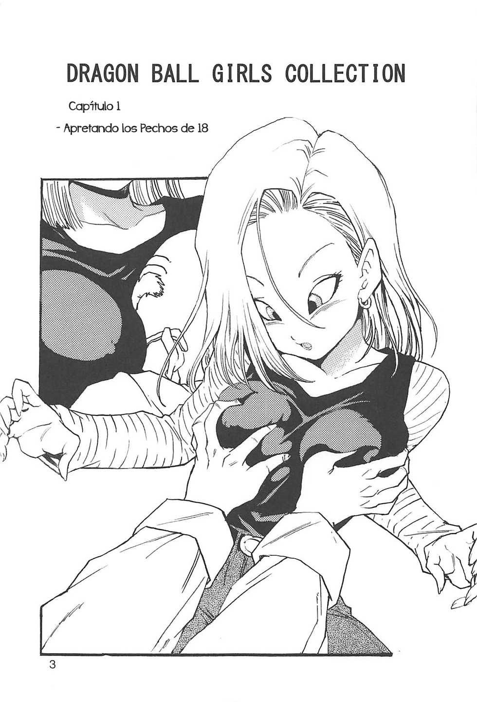 [Monkees (Young Jijii)] Dragon Ball Girls Collection 1 Fukkokuban (Dragon Ball Z) [Spanish] [KazuyaFS] - Page 4