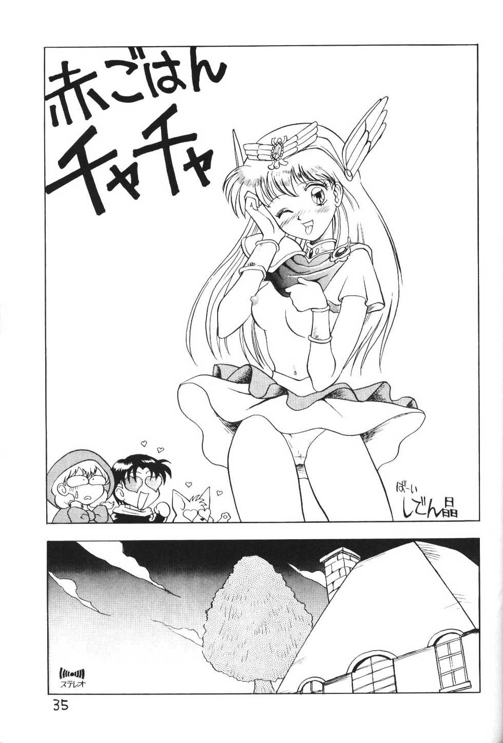 (C47) [Handsome Dan (Various)] Kimiiro Omoi 2 (Akazukin Cha Cha) - Page 34