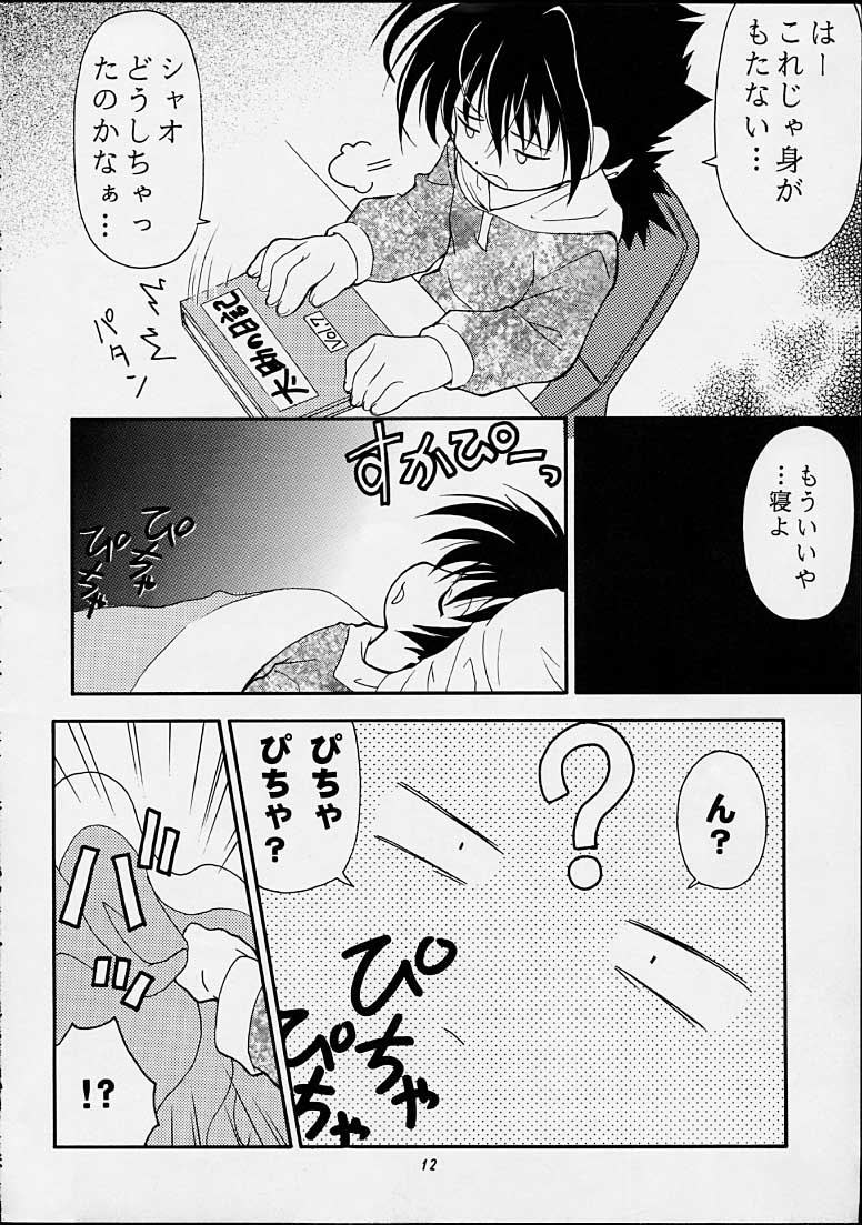 (C55) [Riroland (Kuuya,  Satomi Hiroyuki)] Chanto Chanto no Rinshan Kaihou! (Mamotte Shugogetten, Sorcerous Stabber Orphen) - Page 11