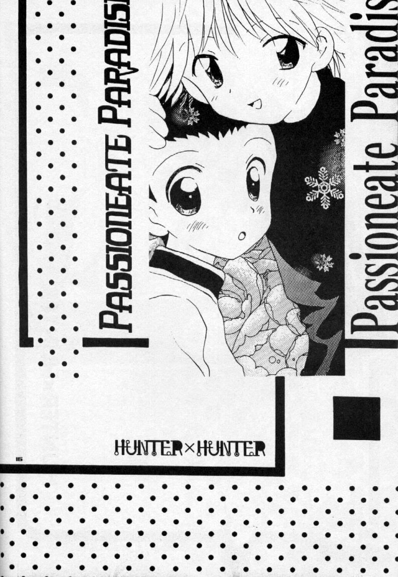 (C57) [KuruGuru DNA (Hoshiai Hilo)] Seifukuyoku no Kosui wa Michite (Hunter x Hunter) - Page 17