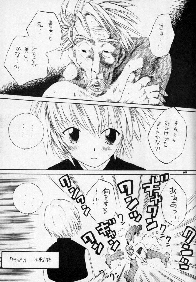 (C57) [KuruGuru DNA (Hoshiai Hilo)] Seifukuyoku no Kosui wa Michite (Hunter x Hunter) - Page 36