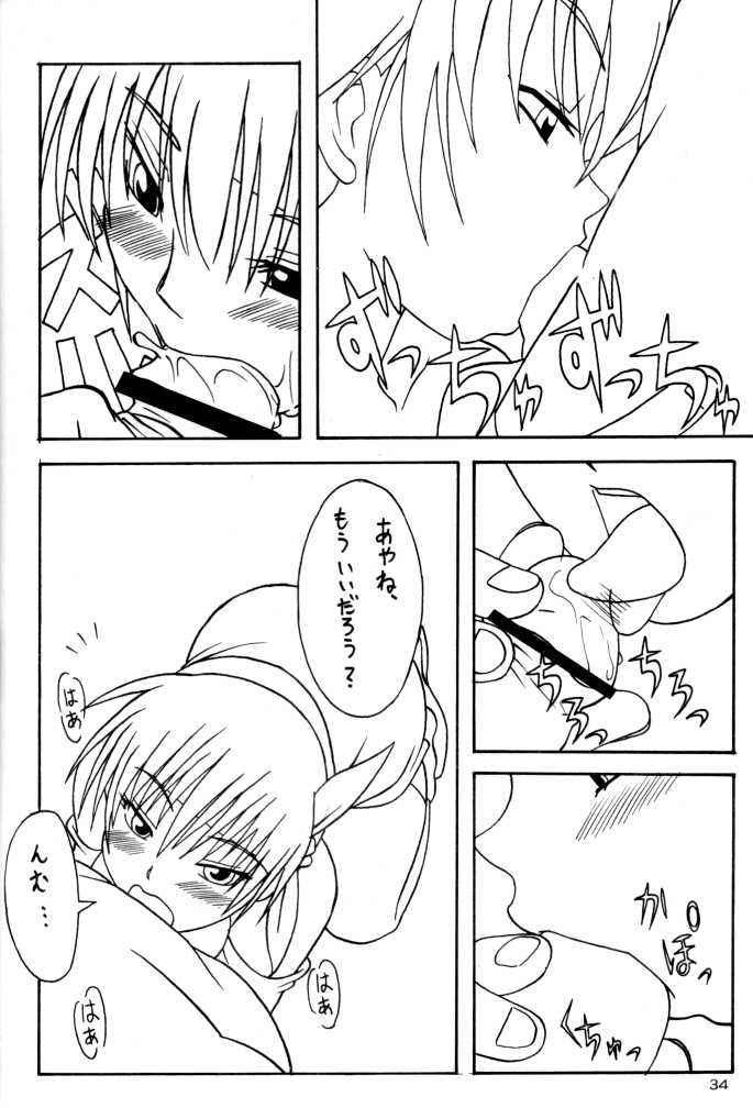 (C62) [Akkan-Bi Project (Yanagi Hirohiko)] ACTG II (Dead or Alive) - Page 34