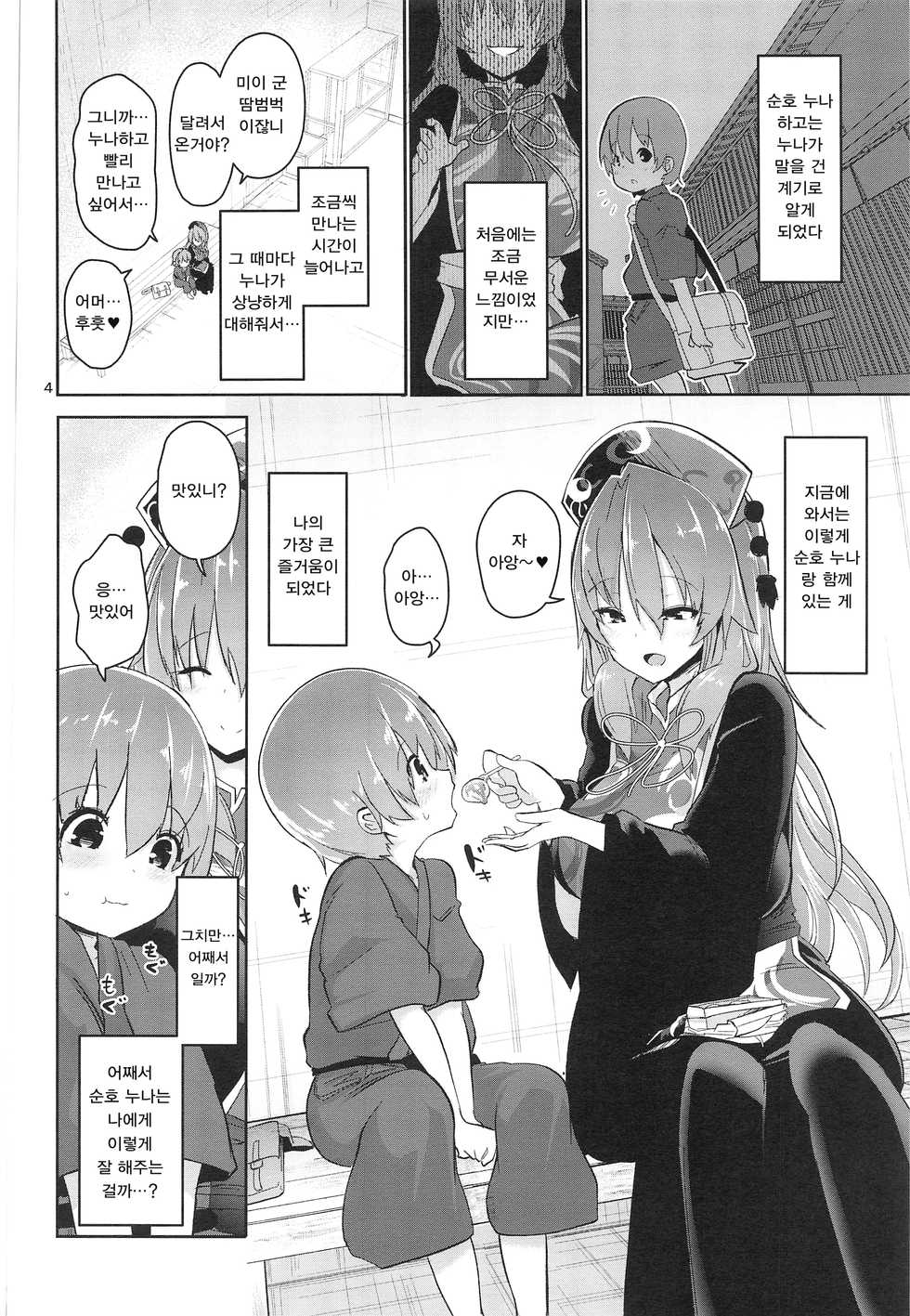 (Akihabara Chou Doujinsai) [Komamesugata (Akure Ekuto)] Tsuyudaku Ecchi no Junko-san | 땀투성이 섹스의 순호씨 (Touhou Project) [Korean] - Page 4