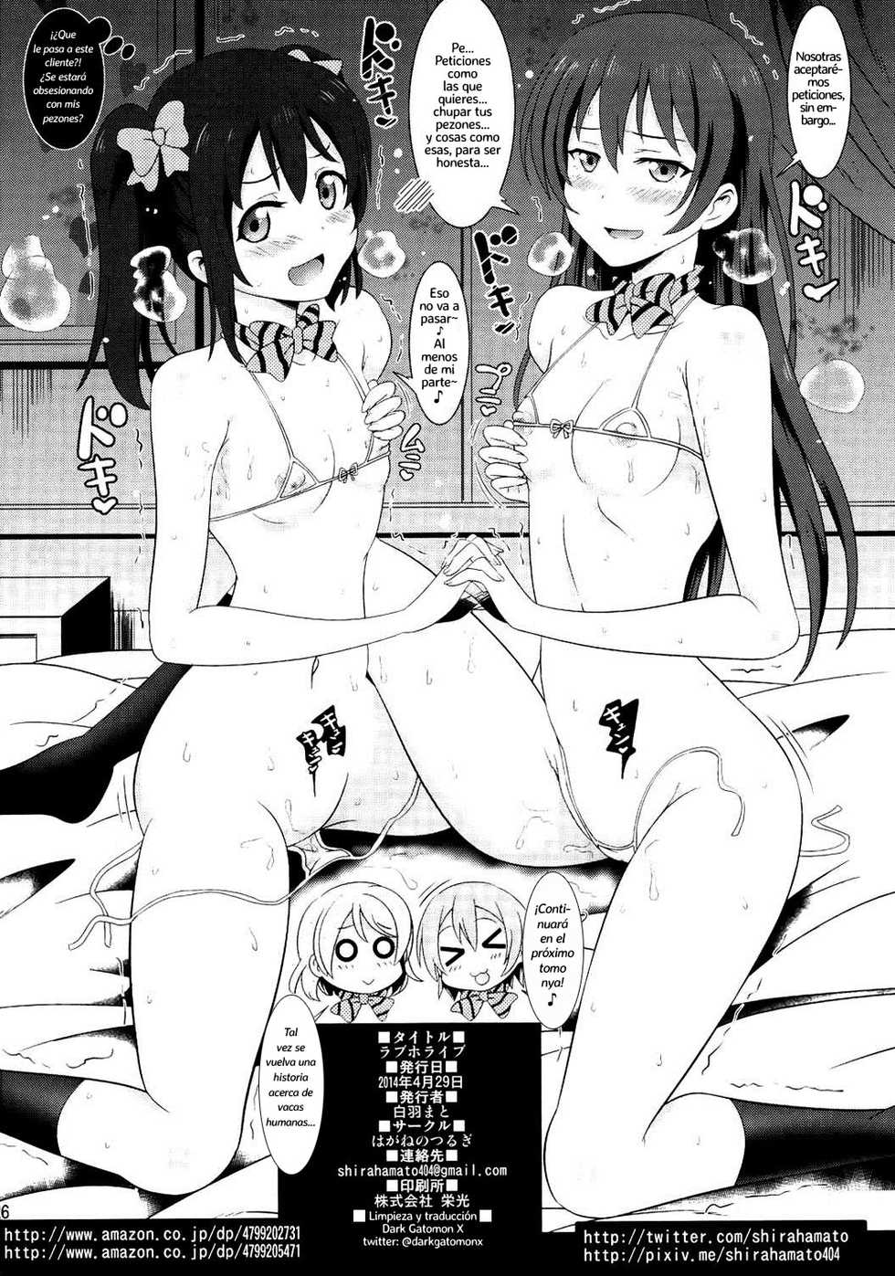 (COMIC1☆8) [Hagane no Tsurugi (Shiraha Mato)] Loveholive (Love Live!) [Spanish] [DGX] - Page 25