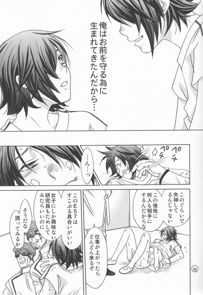[Cappadocia (CJ Michalski, Usami Mio)] Kami-sama Nanka Inai (Kidou Senshi Gundam 00) - Page 12