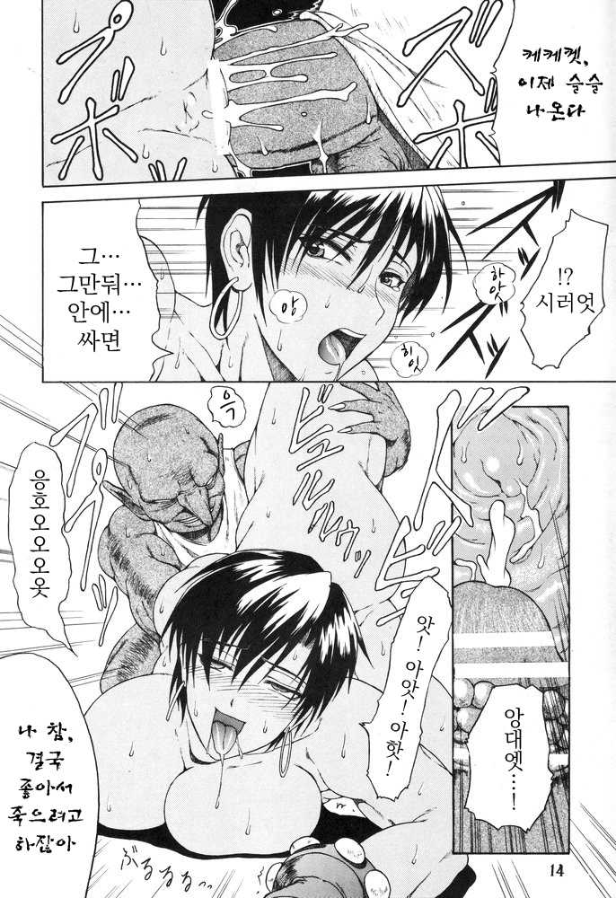 (C67) [SHD (Buchou Chinke)] Haijo DD Chou (Dungeons & Dragons) [Korean] - Page 13