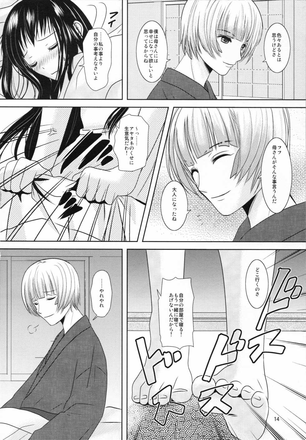 (C78) [Inudrill Lolita Engine  (Inumori Sayaka)] Boku no Kaa-san ga Konna ni Kawaii no wa Shiyou (Ar Tonelico 2) - Page 14
