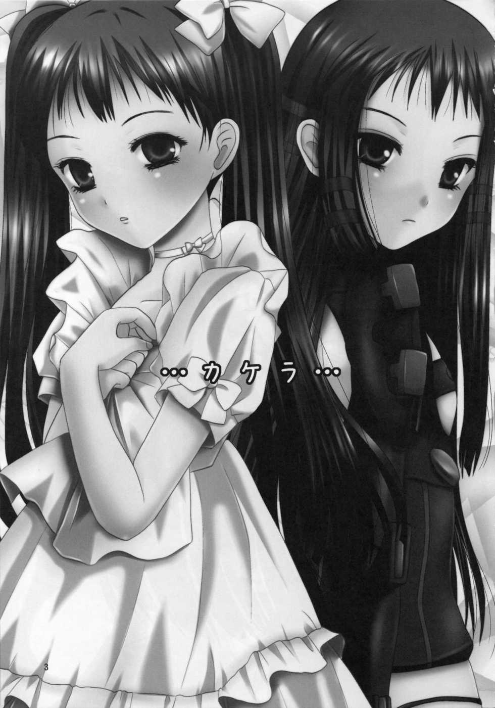 (C77) [Inudrill Lolita Engine  (Inumori Sayaka)]  Kakera  (Ar Tonelico 2) - Page 3