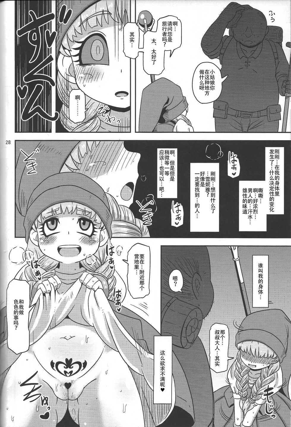 (C93) [Helldevice (nalvas)] Tensai Mahoutsukai no Sei Jijou (Dragon Quest XI) [Chinese] - Page 28