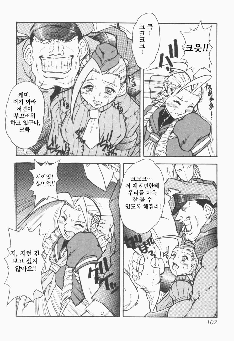 (C54) [Escargot Club (Juubaori Mashumaro)] DURIAN (Street Fighter) [Korean] [Decensored] - Page 12