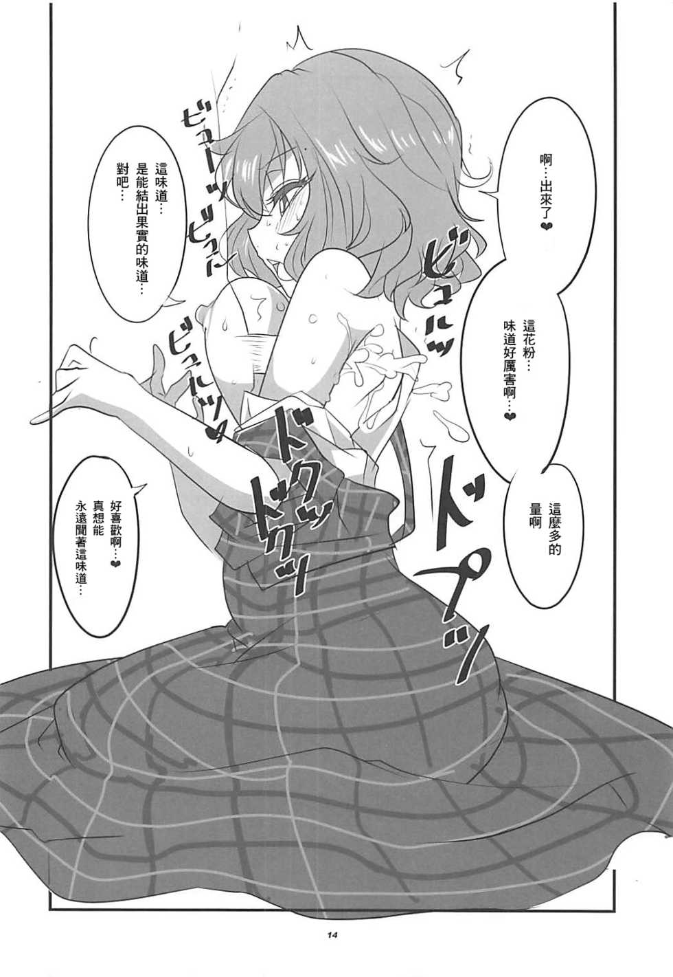 (Shuuki Reitaisai 3) [BlueMage (Aoi Manabu)] Himawari no Fragrance (Touhou Project) [Chinese] [零食汉化组] - Page 14
