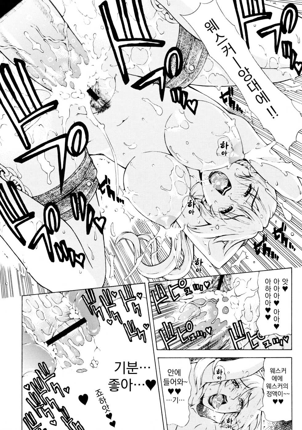 (C77) [Chrono Mail (Tokie Hirohito)] HAZARD LEVEL 5 (Resident Evil 5) [Korean] - Page 17