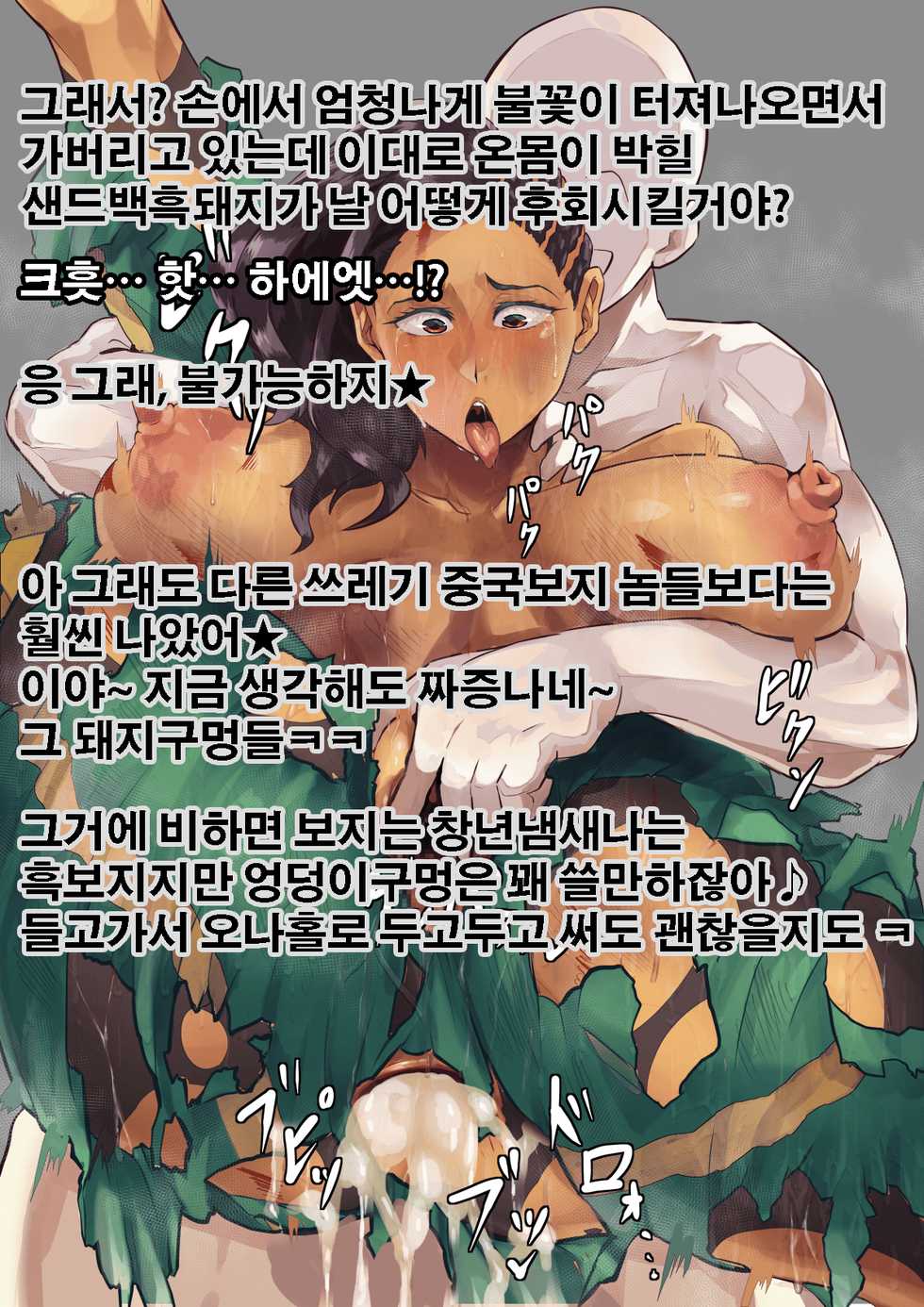 [Son Palace] 電撃強い！ (Street Fighter) [Korean] - Page 7