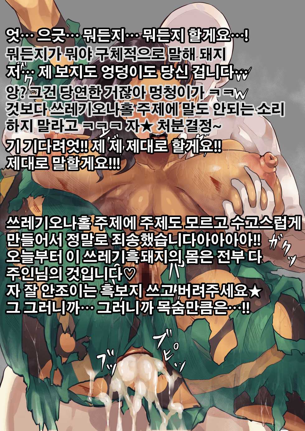 [Son Palace] 電撃強い！ (Street Fighter) [Korean] - Page 11