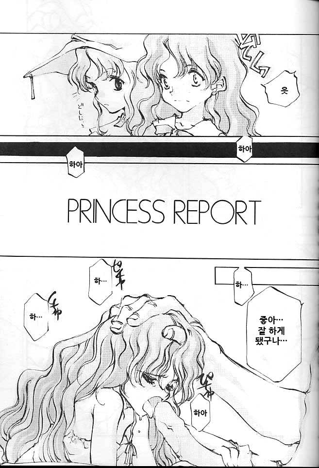 [INKPOT (Oyari Ashito)] O Deco Style (Princess Maker) [Korean] - Page 40