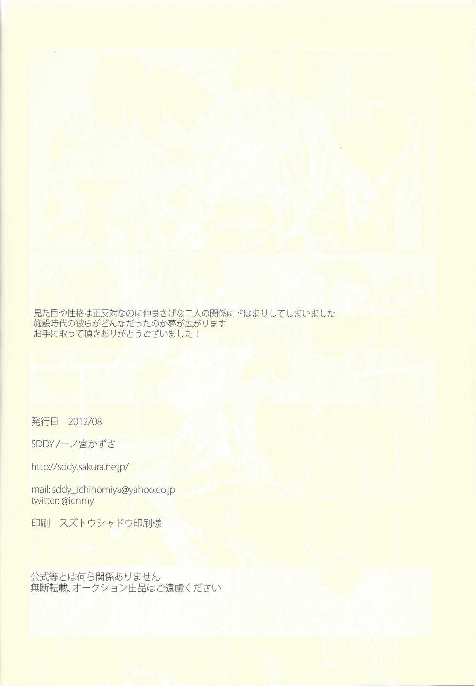 (C82) [SDDY (Ichinomiya Kazusa)] Hime-goto (Yu-Gi-Oh! ZEXAL) - Page 25