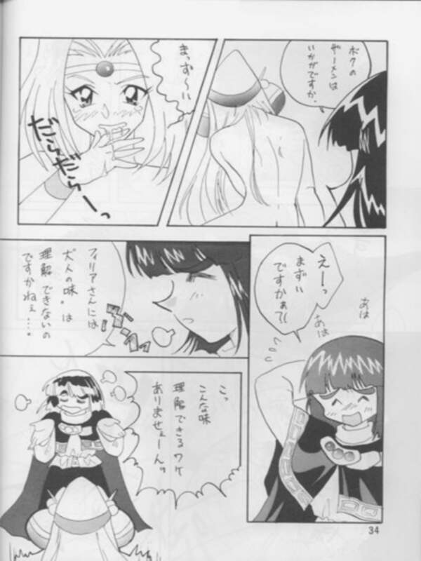[Ginmomodou (Mita Satomi)] SLAYERS ADULT 3 (Slayers) - Page 31
