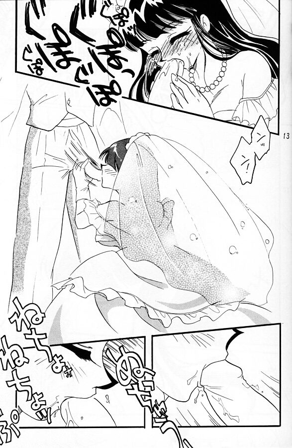 [Ginmomodou (Mita Satomi)] Slayers Adult 11 (Slayers) - Page 12