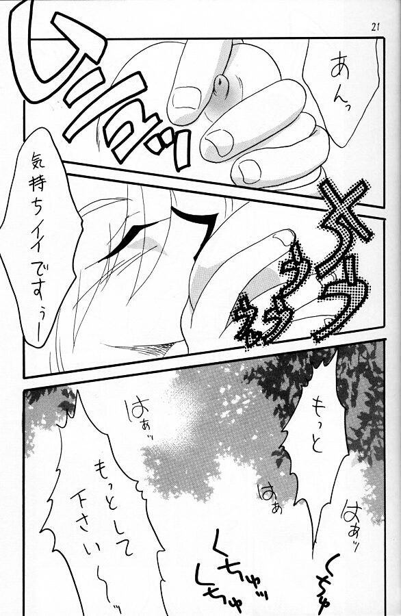 [Ginmomodou (Mita Satomi)] Slayers Adult 11 (Slayers) - Page 20